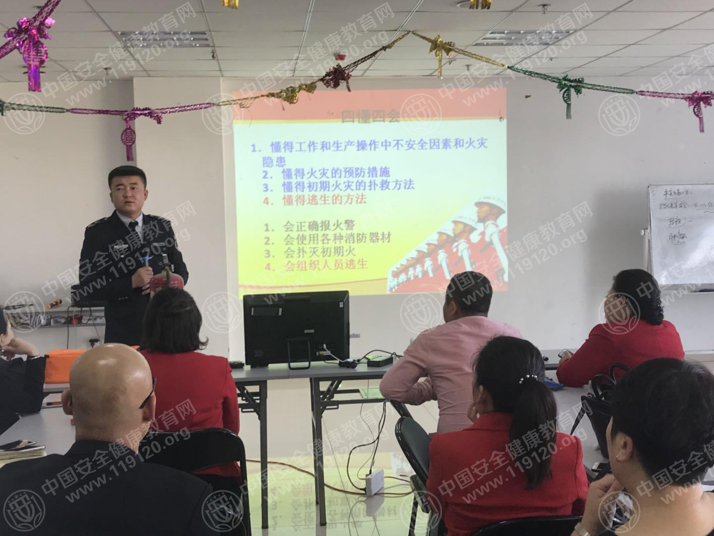 榆树1.jpg