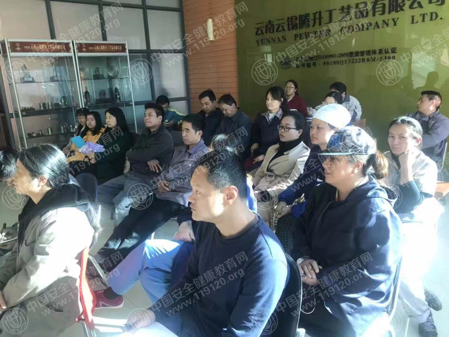云南云锡腾升工艺品有限公司11.27武文林2.jpg