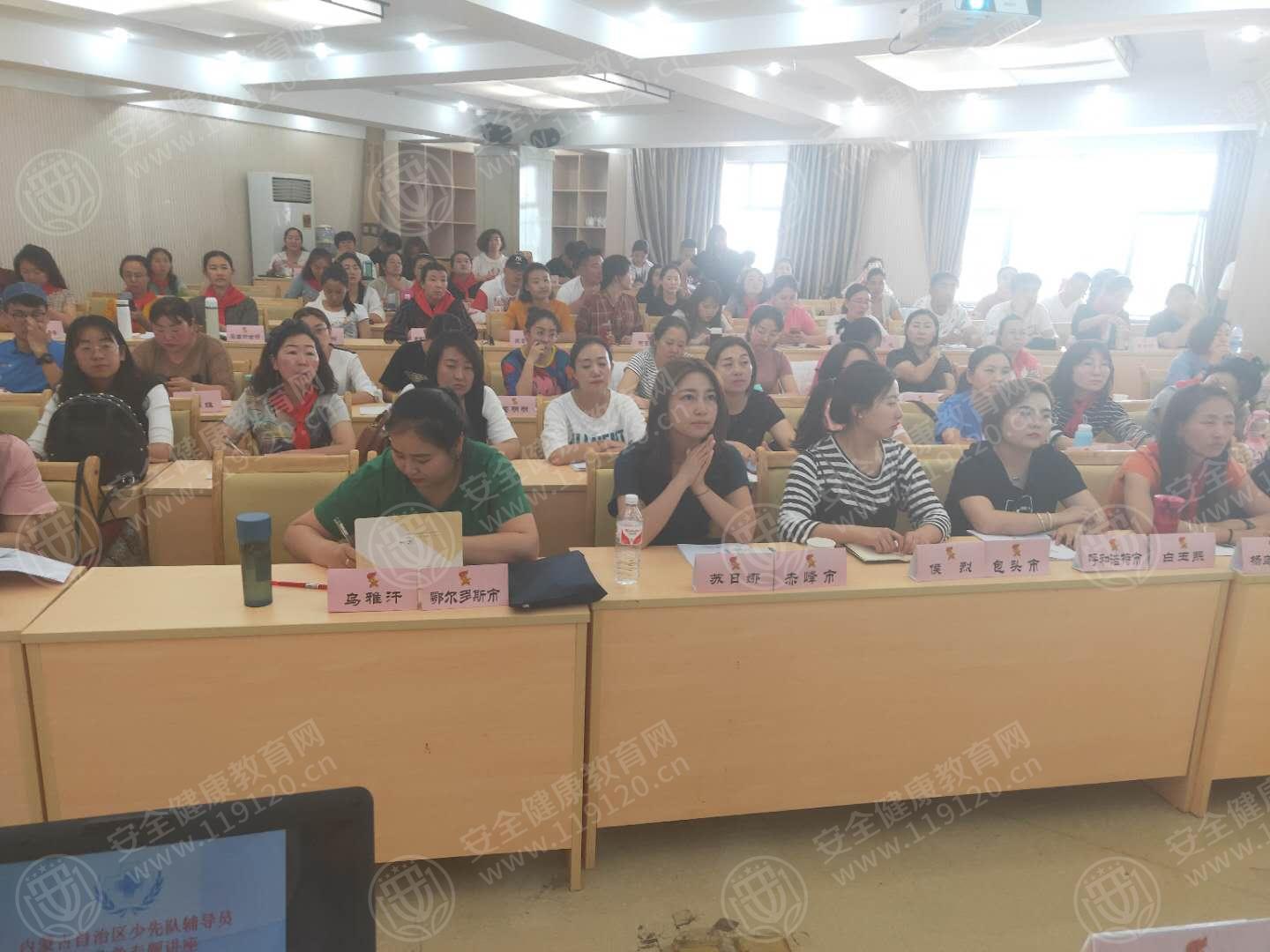 自治区少先队辅导员1.jpg