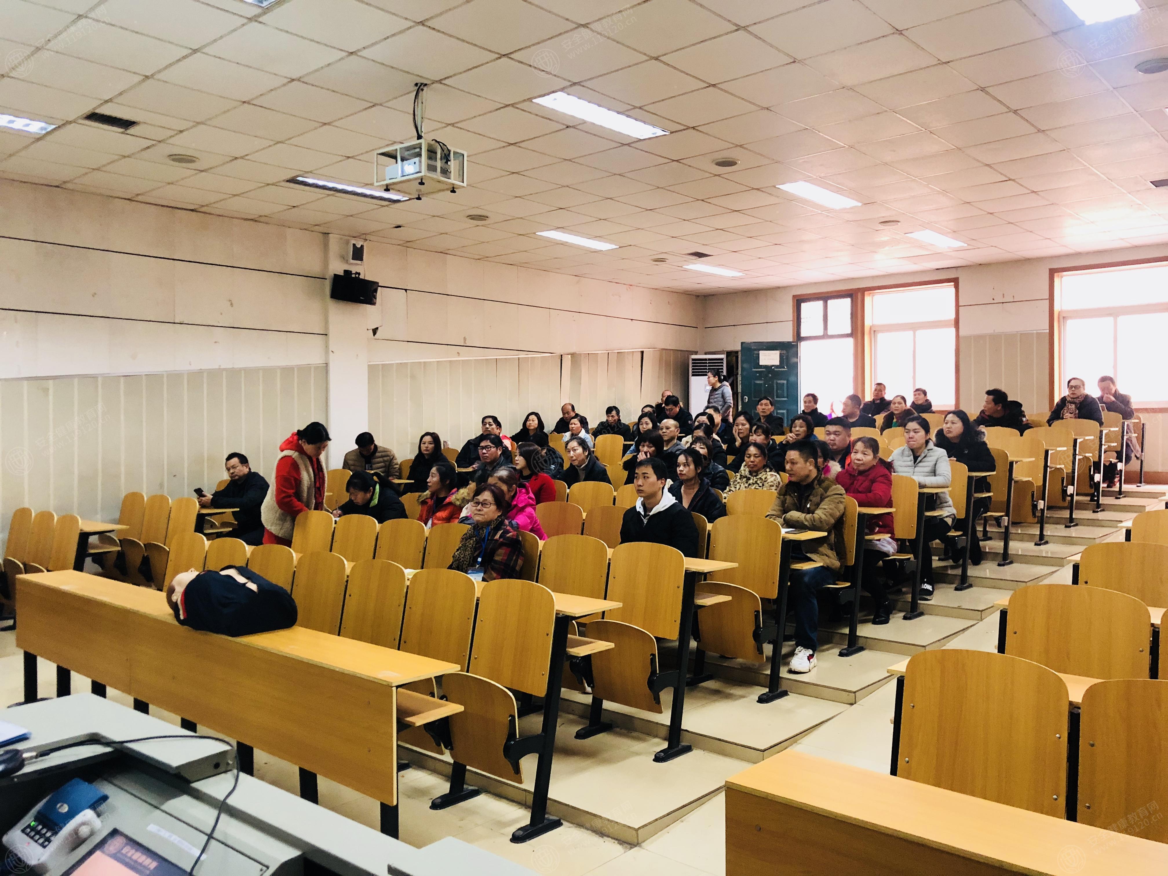 文中图片 文中图片