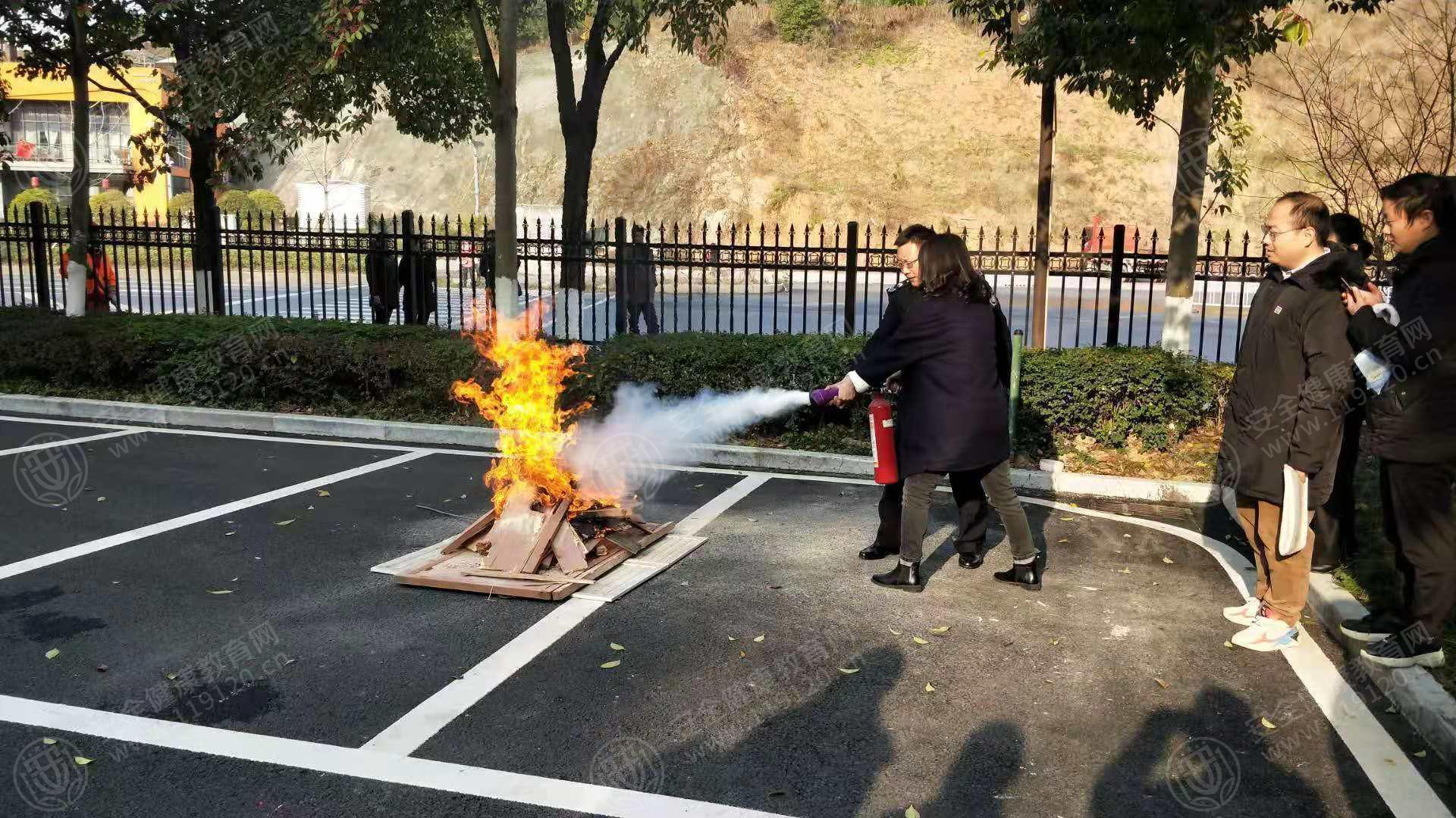 文中图片