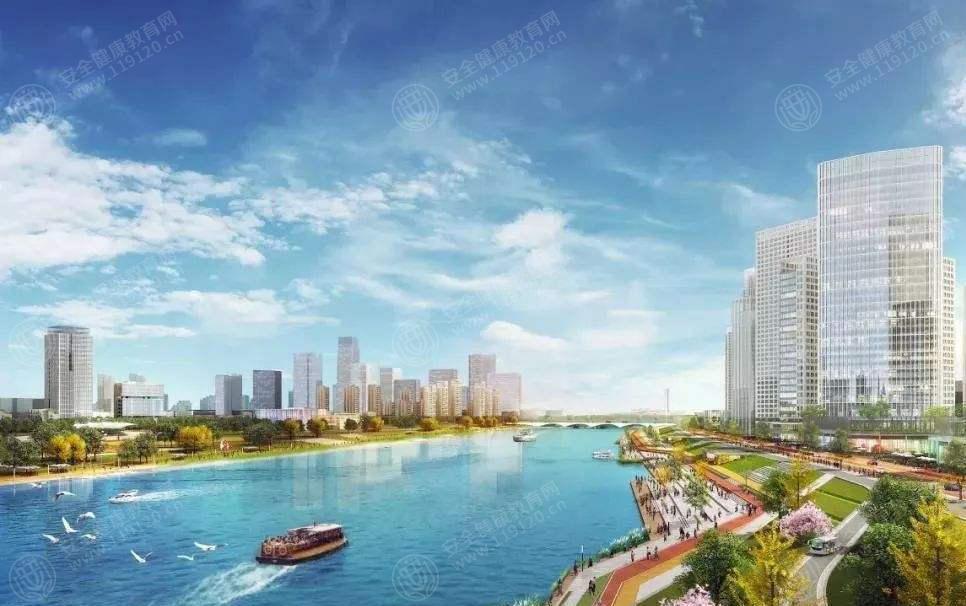 文中图片 文中图片