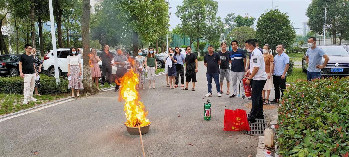 文中图片