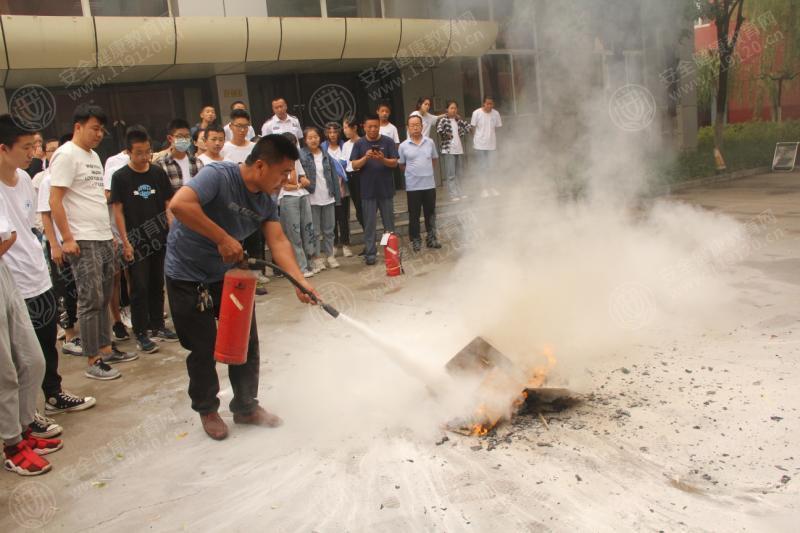 文中图片 文中图片