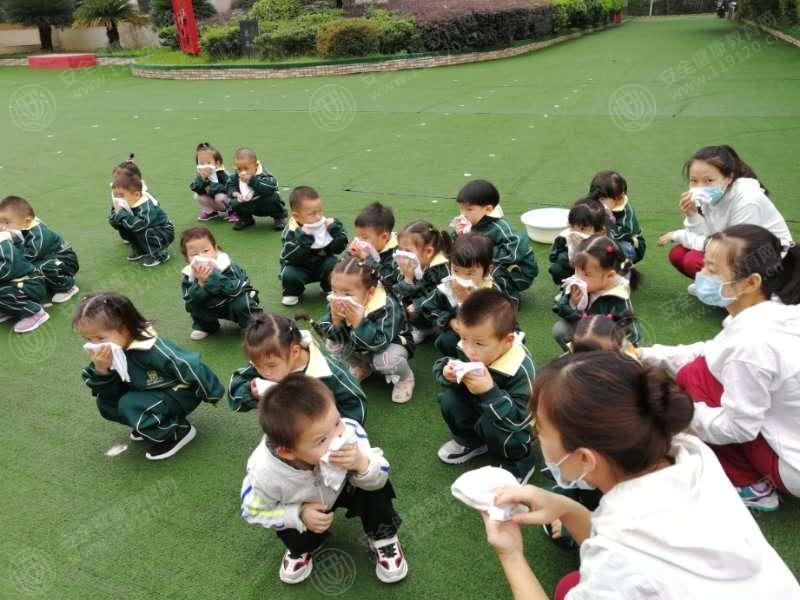 文中图片 文中图片