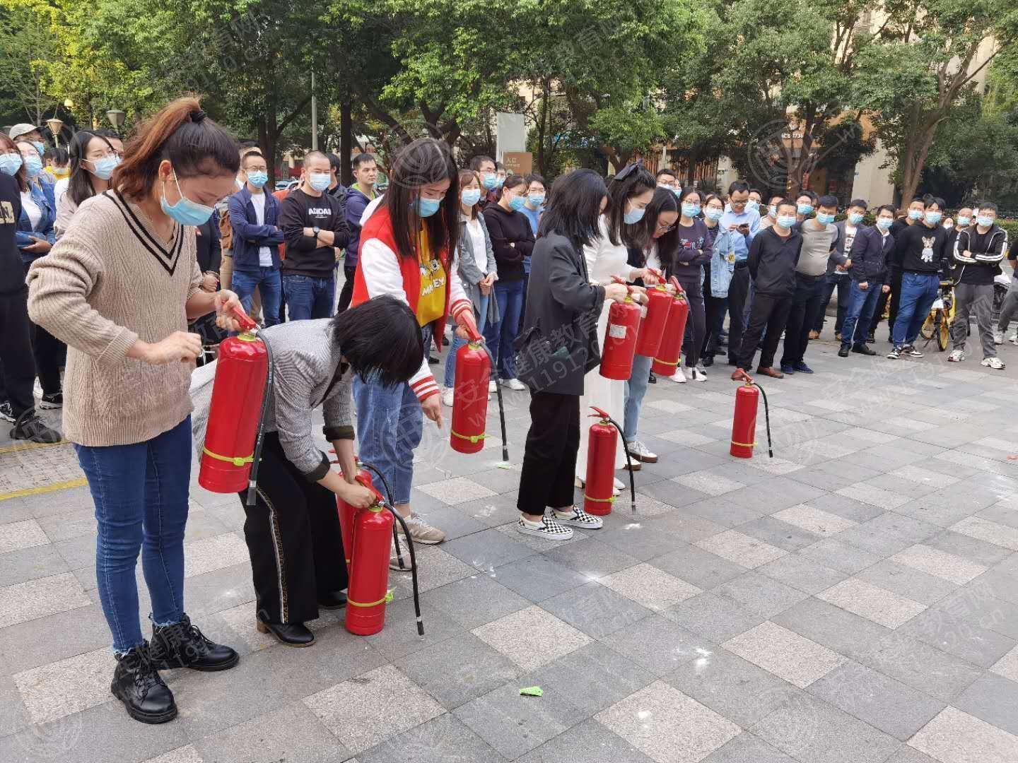 文中图片